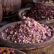 Dried Botanicals and Flowers
