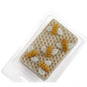 Clamshells