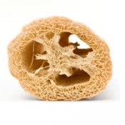 Other Additives
