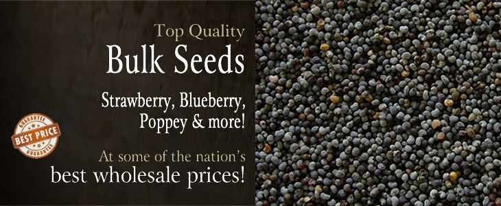 bulk-seeds.jpg