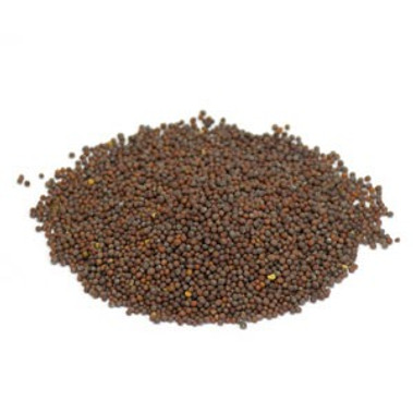 Mustard Seed - Brown