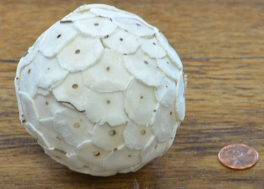 Shola Button Ball - 10pk of 8 cm Natural w/o bark