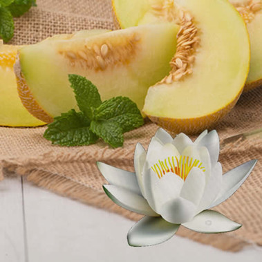 Waterlily Melon Fragrance Oil