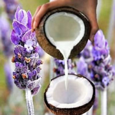 Pure Coconut Milk Lavender Fragrance Oil