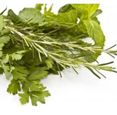 Pure Rosemary Mint Fragrance Oil