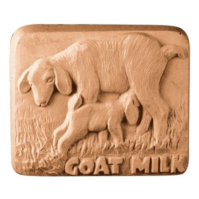 Goatmilk Bar Soap Mold
