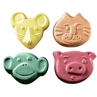 Kids Critters 2 Soap Mold
